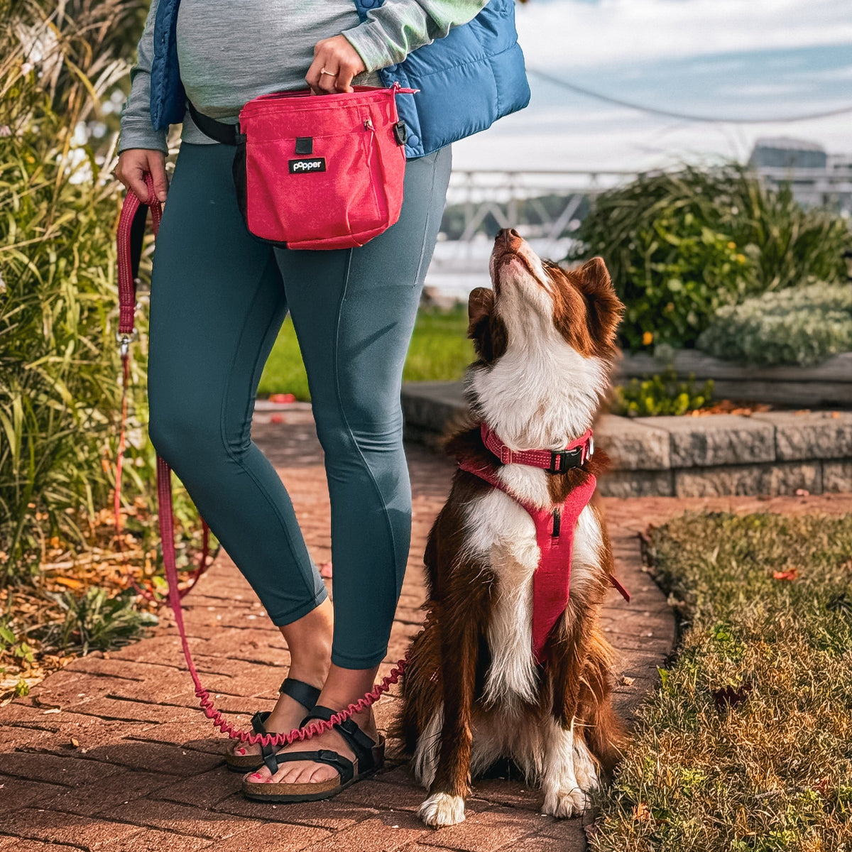 Focus Treat Pouch | Hands-Free Dog Training Treat Bag with Dual Treat Pockets
