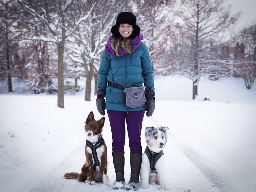 What Makes a Treat Pouch Truly Training-Ready (And What Most Products Get Wrong)