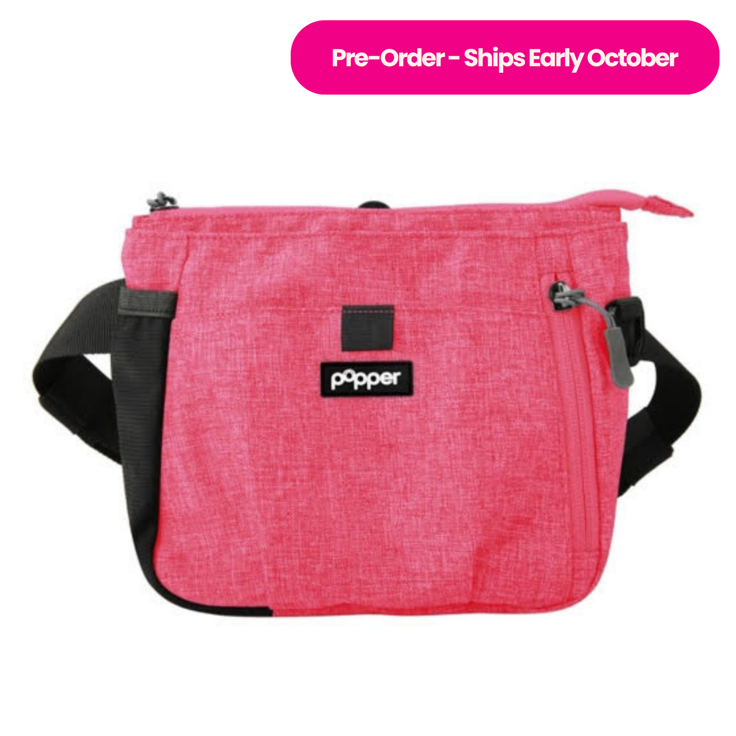 Focus Treat Pouch