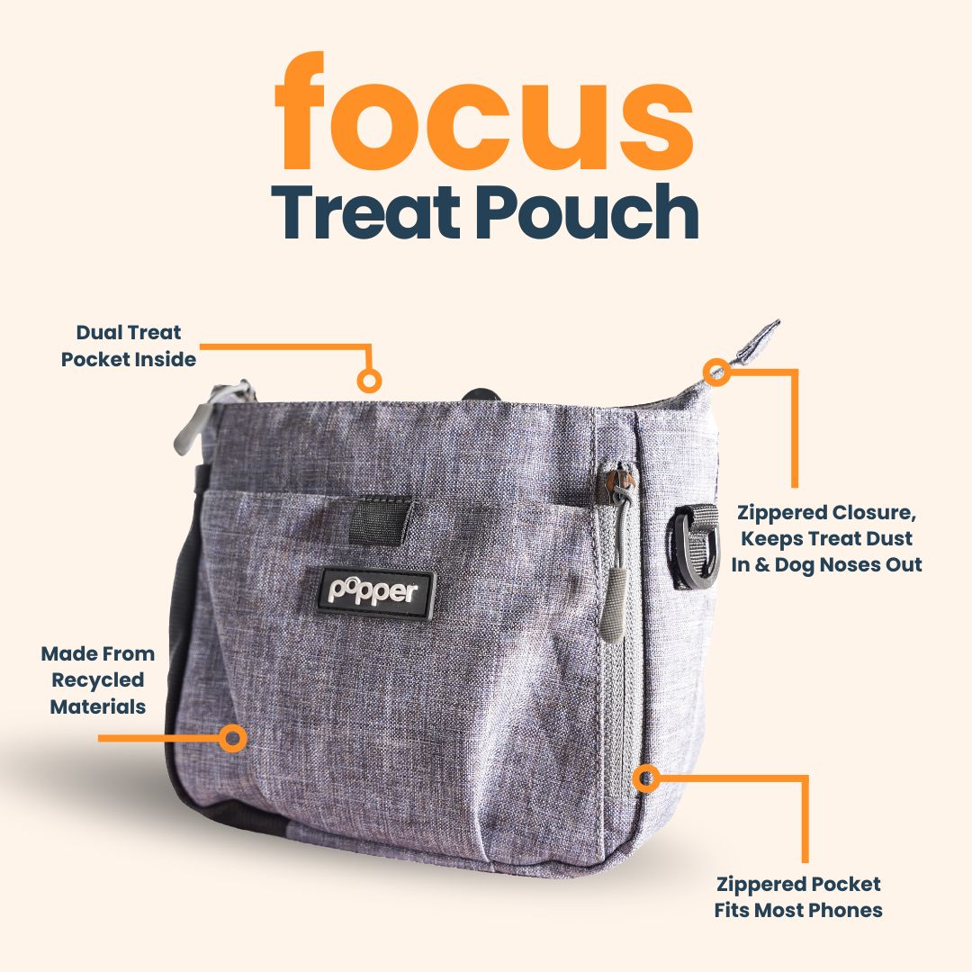 Focus Treat Pouch