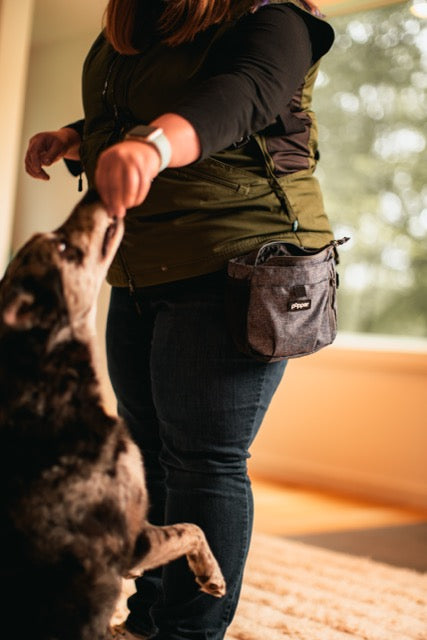 Focus Treat Pouch