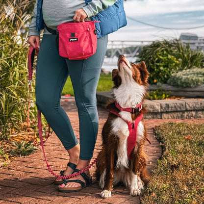 Focus Treat Pouch | Hands-Free Dog Training Treat Bag with Dual Treat Pockets
