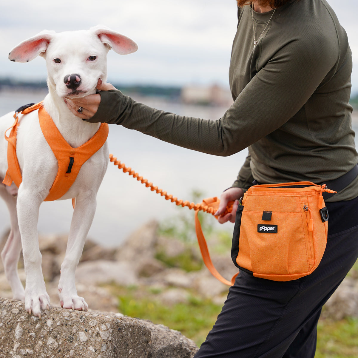 Focus Treat Pouch | Hands-Free Dog Training Treat Bag with Dual Treat Pockets