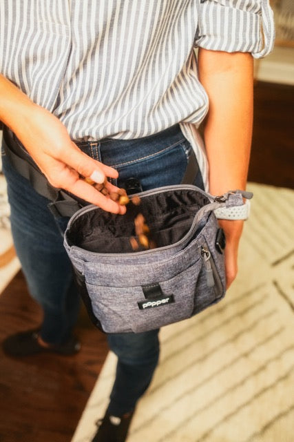 Focus Treat Pouch