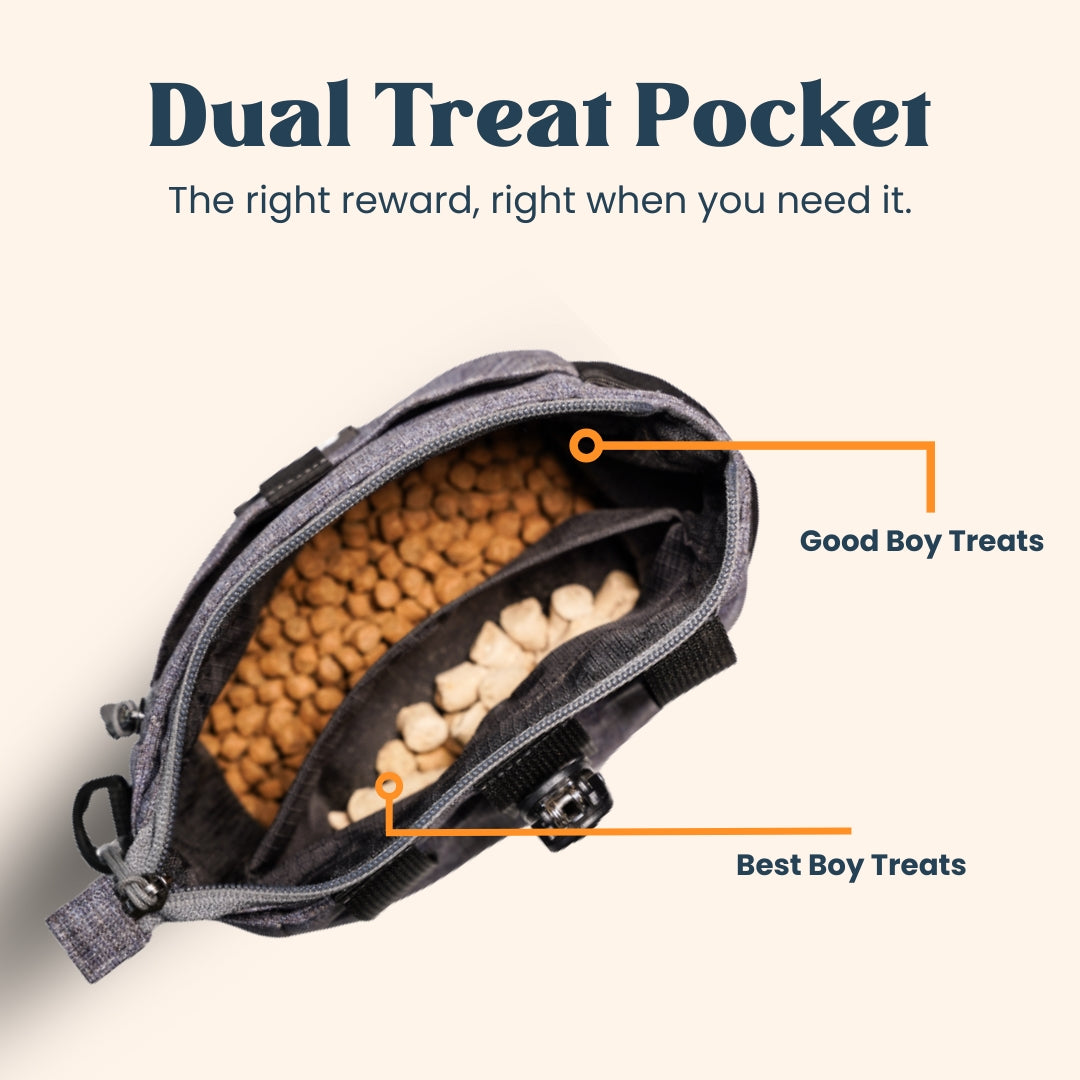 Focus Treat Pouch | Hands-Free Dog Training Treat Bag with Dual Treat Pockets