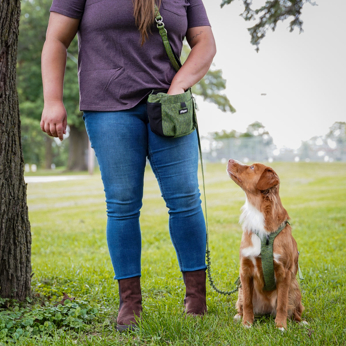 Focus Treat Pouch | Hands-Free Dog Training Treat Bag with Dual Treat Pockets
